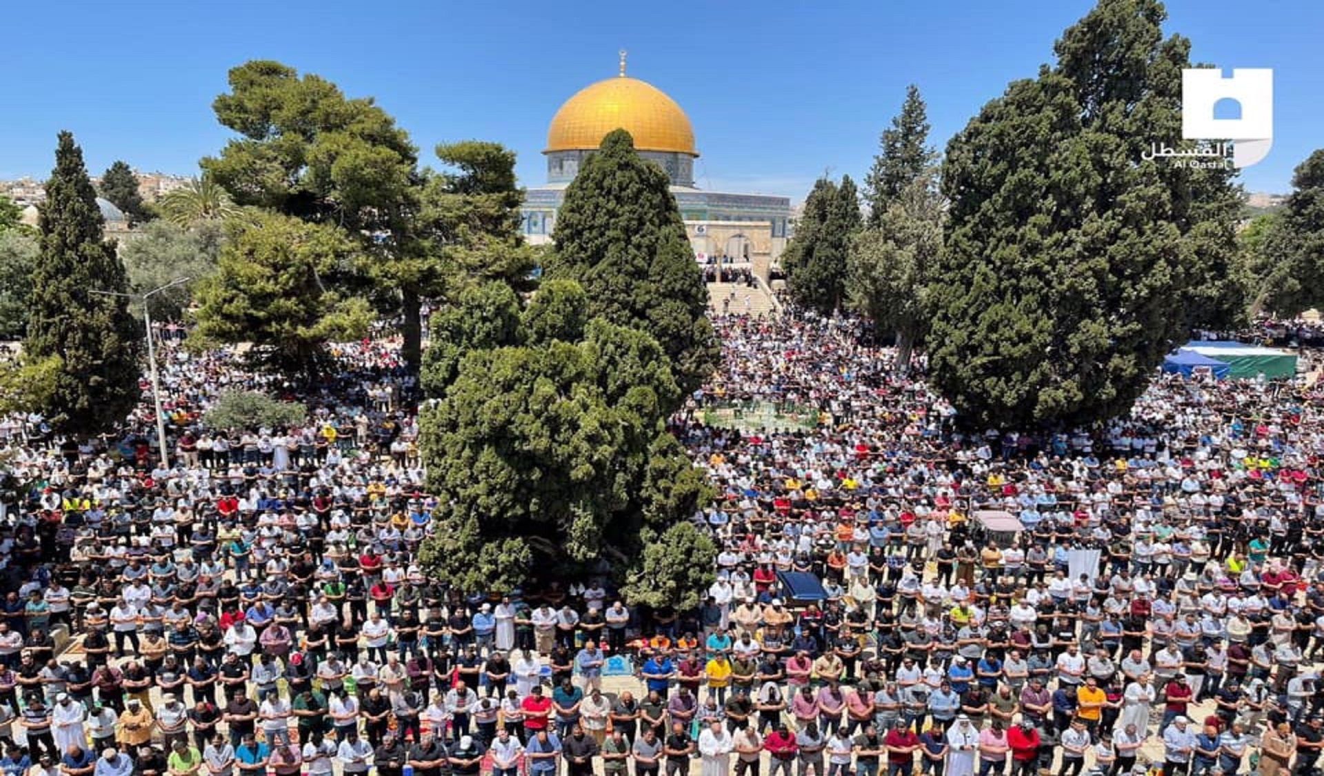 ندعم أهلنا في القدس بالانتصار للديمقراطية ومسارها في تونس