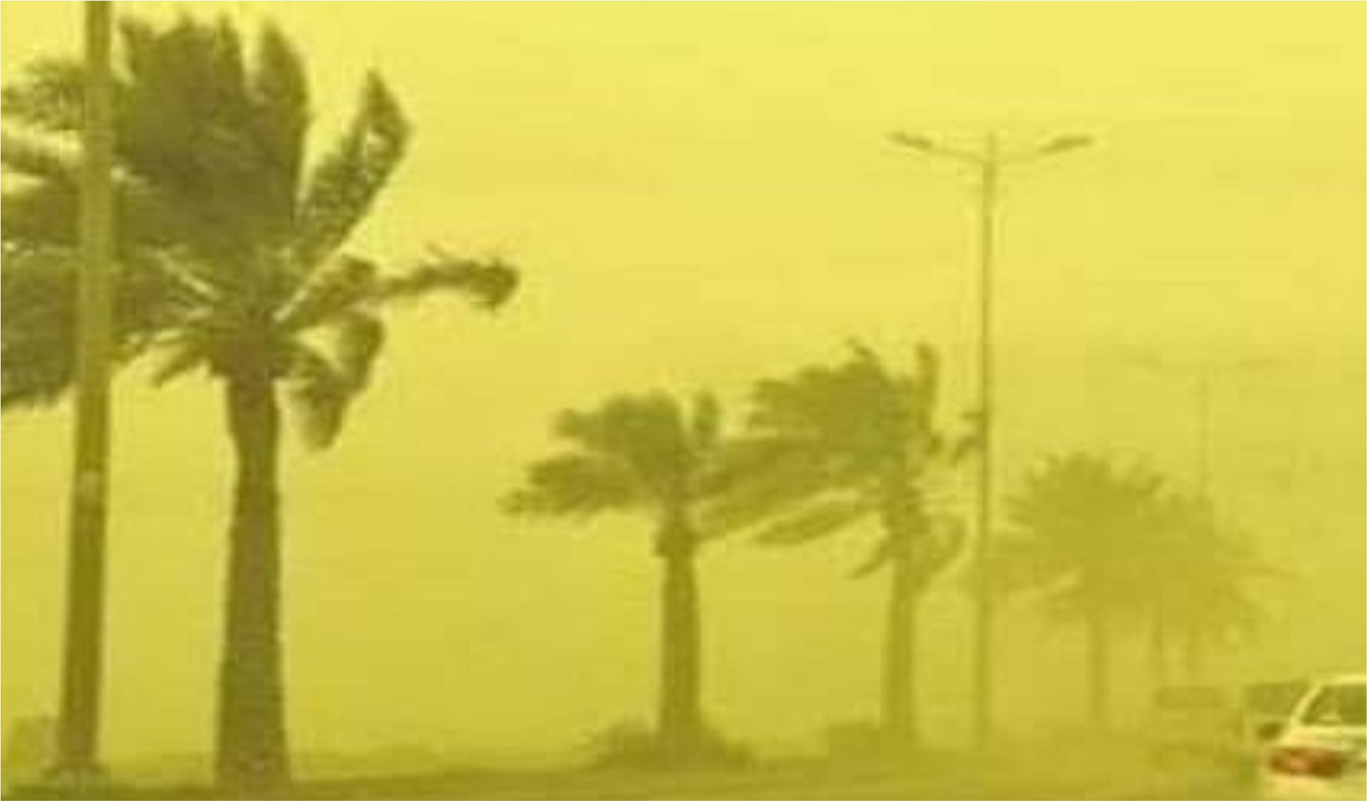 تونس على موعد مع الرياح الحسوم