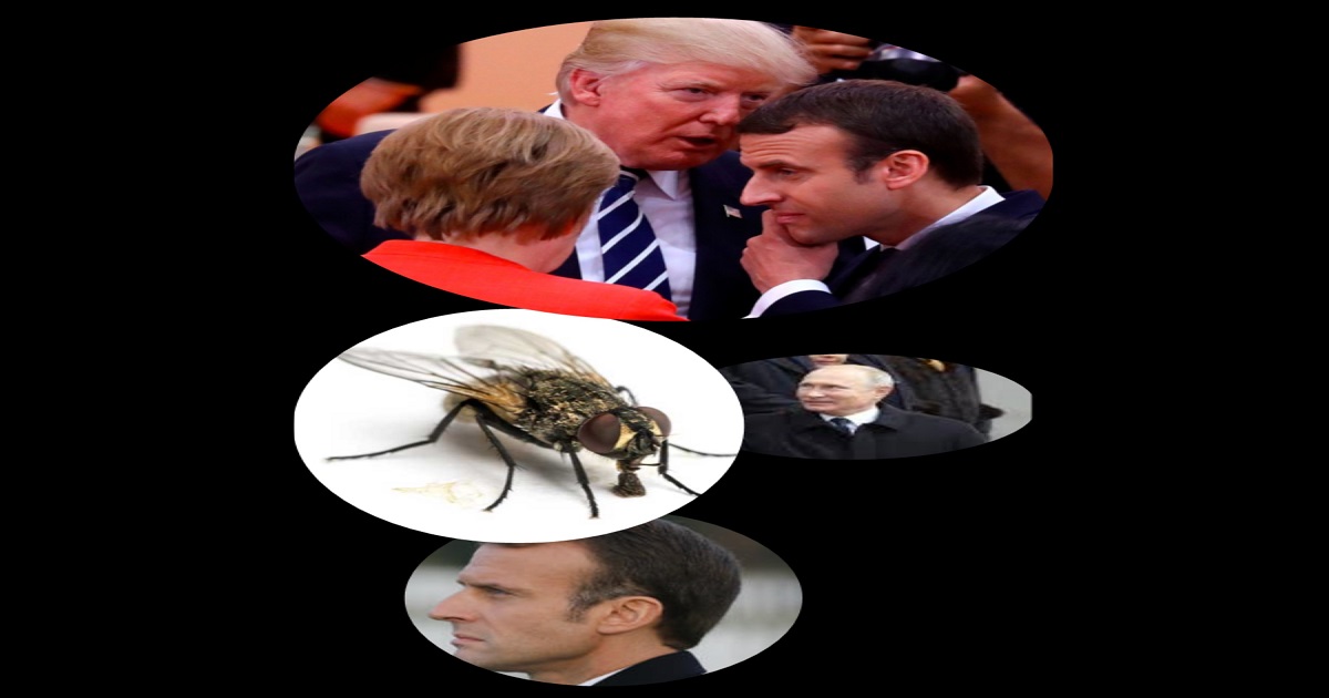 Quelle mouche a piqué Macron ?