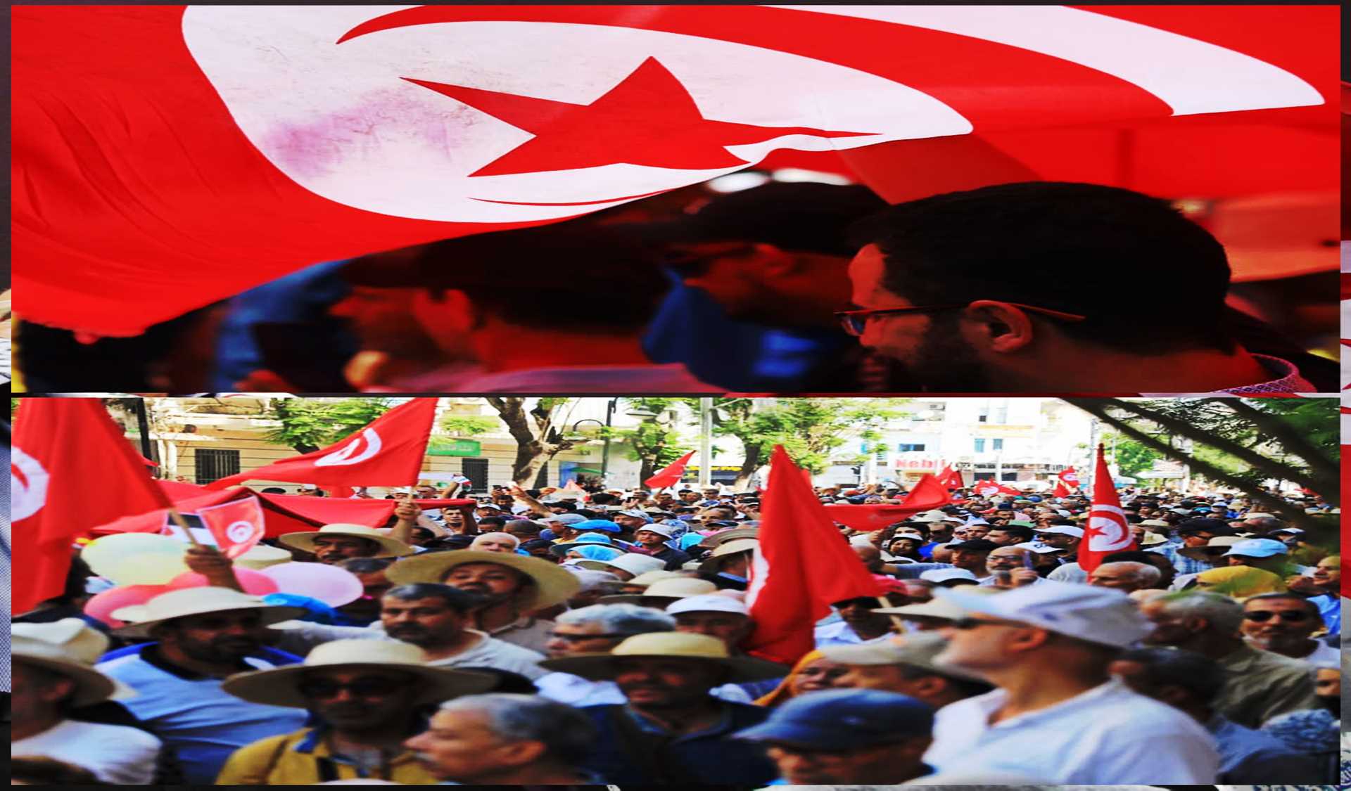 اللامبالاة تلتهم السياسة في تونس