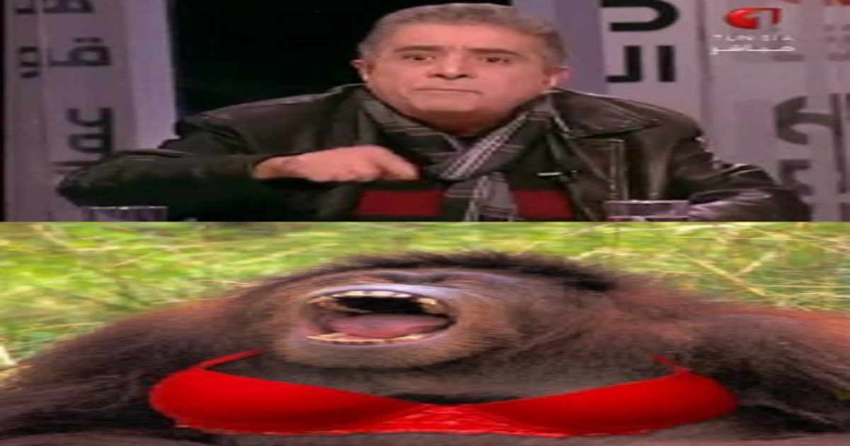 2065.jpg