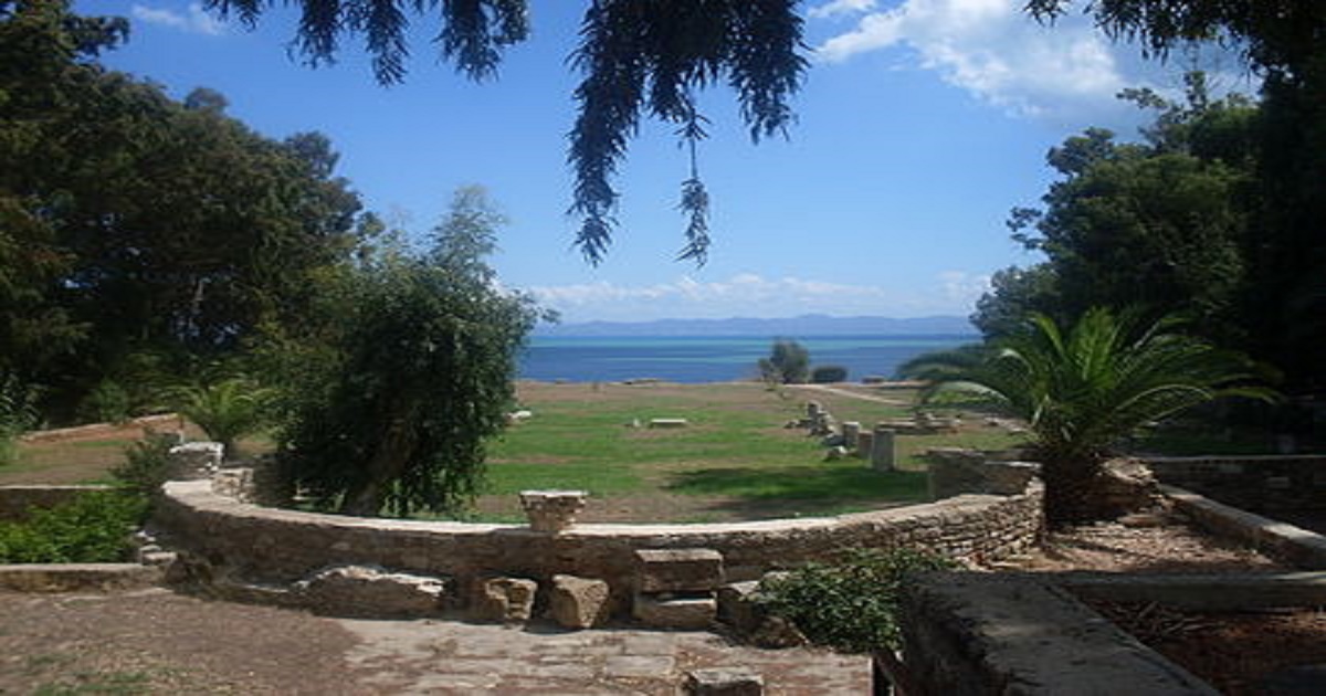 2510.jpg