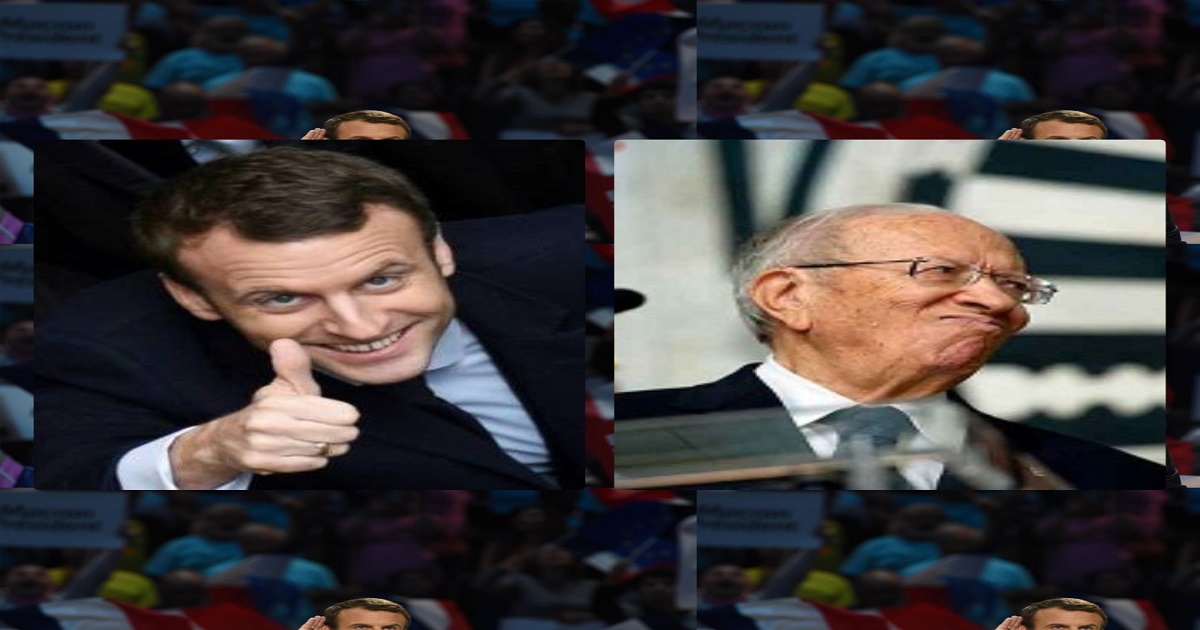 4776.jpg