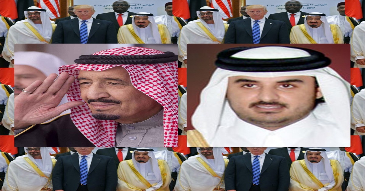 4960.jpg