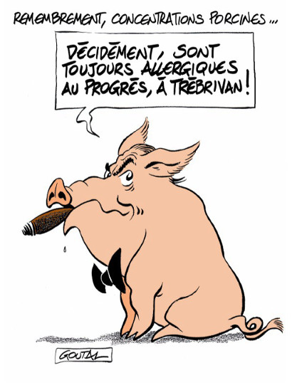 Les cochons de Trébrivan !