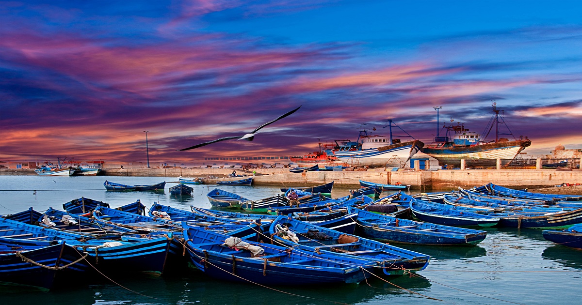 ESSAOUIRA- L’ÎLE DE MOGADOR!